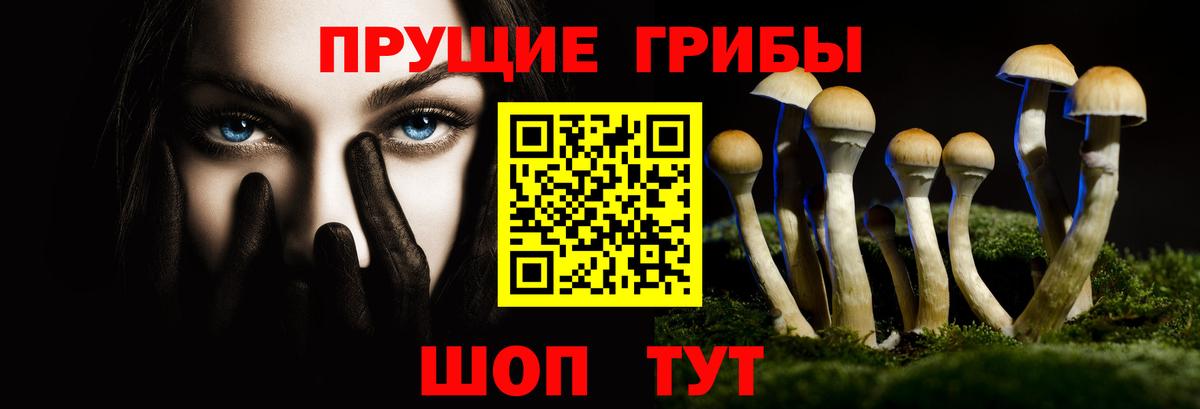 Галлюциногенные грибы Psilocybe Можга
